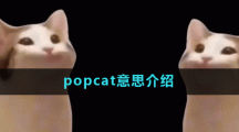 popcat意思介绍