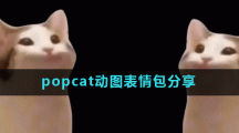 popcat动图表情包分享