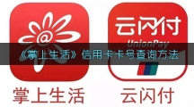 《掌上生活》信用卡卡号查询方法