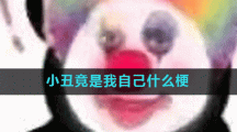 小丑竟是我自己什么梗