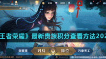 《王者荣耀》最新贵族积分查看方法2021
