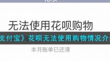 《支付宝》花呗无法使用购物情况介绍