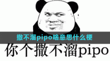 撒不溜pipo啥意思什么梗