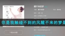 《抖音》你是我触碰不到的风醒不来的梦是什么歌
