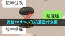 微信codm小飞机落是什么梗
