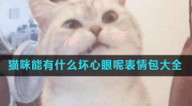 猫咪能有什么坏心眼呢表情包大全