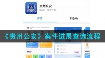 《贵州公安》案件进展查询流程