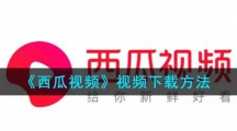 《西瓜视频》视频下载方法