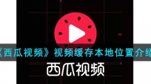 《西瓜视频》视频缓存本地位置介绍