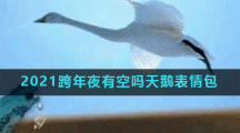 2021跨年夜有空吗天鹅表情包