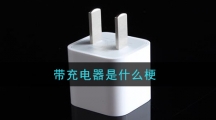 带充电器是什么梗