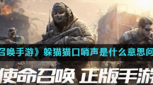 《使命召唤手游》躲猫猫口哨声是什么意思问题解答