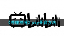 《哔哩哔哩》pay开启方法
