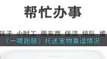 《一喂跑腿》托送宠物靠谱情况