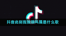 抖音此刻我独领风搔是什么歌