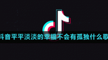 抖音平平淡淡的幸福不会有孤独什么歌