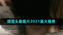 微信头像图片2021最火爆男