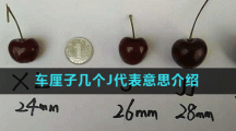 车厘子几个J代表意思介绍