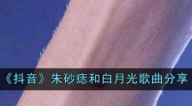 《抖音》朱砂痣和白月光歌曲分享