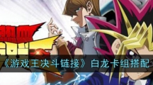 《游戏王决斗链接》白龙卡组搭配