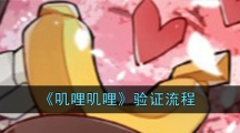 《叽哩叽哩》验证流程