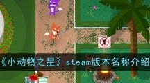 《小动物之星》steam版本名称介绍