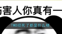 TMD烦死了都是什么梗