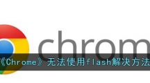 《Chrome》无法使用flash解决方法