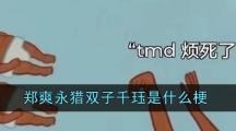 郑爽永猎双子千珏是什么梗