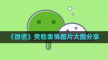 《微信》黄脸表情图片大图分享