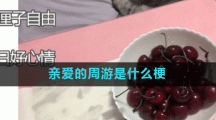 亲爱的周游是什么梗