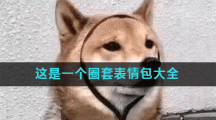这是一个圈套表情包大全