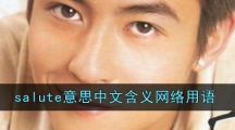 salute意思中文含义网络用语