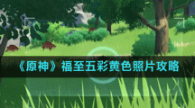 《原神》福至五彩黄色照片攻略