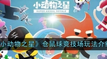 《小动物之星》仓鼠球竞技场玩法介绍