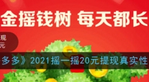 《拼多多》2021摇一摇20元提现真实性介绍