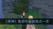 《原神》夜泊石获取地点一览