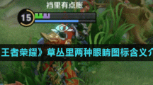 《王者荣耀》草丛里两种眼睛图标含义介绍