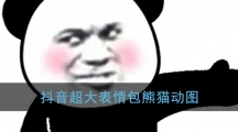 《抖音》超大表情包熊猫动图分享