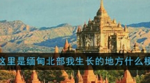 这里是缅甸北部我生长的地方什么梗