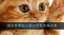 迷你表情包小图片可爱风格分享