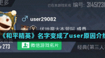 《和平精英》名字变成了user原因介绍
