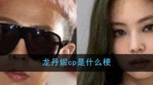龙丹妮cp是什么梗