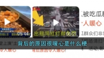 背后的原因很暖心是什么梗