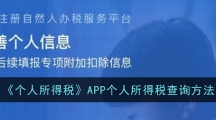 《个人所得税》APP个人所得税查询方法