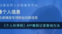 《个人所得税》APP缴税记录查询方法