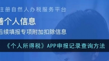 《个人所得税》APP申报记录查询方法