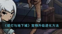 《提灯与地下城》宠物升级进化方法