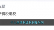 个人所得税退税到账时间