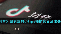 《抖音》见男友的小tips梗的含义及出处介绍